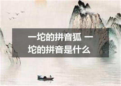 一坨的拼音狐 一坨的拼音是什么