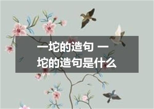 一坨的造句 一坨的造句是什么