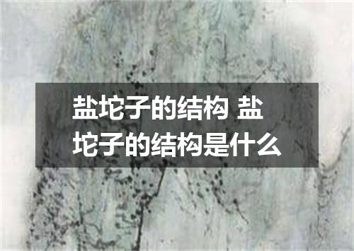 盐坨子的结构 盐坨子的结构是什么