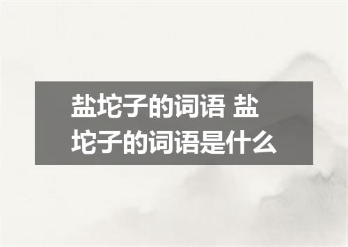 盐坨子的词语 盐坨子的词语是什么