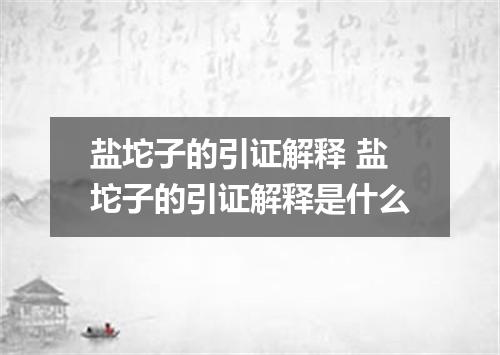盐坨子的引证解释 盐坨子的引证解释是什么