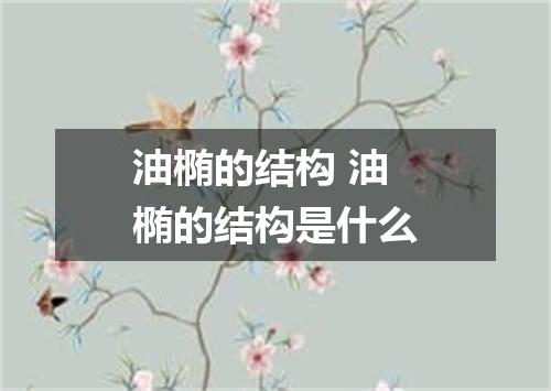 油椭的结构 油椭的结构是什么
