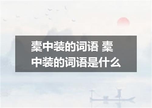 橐中装的词语 橐中装的词语是什么
