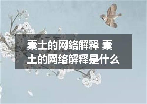 橐土的网络解释 橐土的网络解释是什么