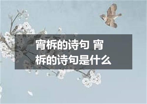 宵柝的诗句 宵柝的诗句是什么
