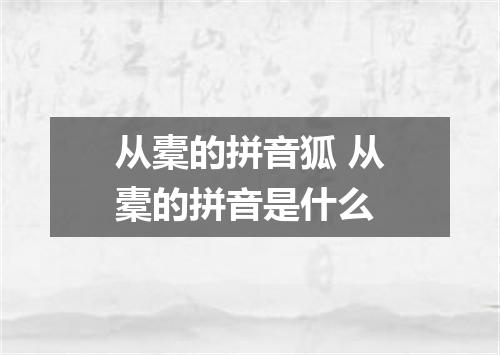 从橐的拼音狐 从橐的拼音是什么
