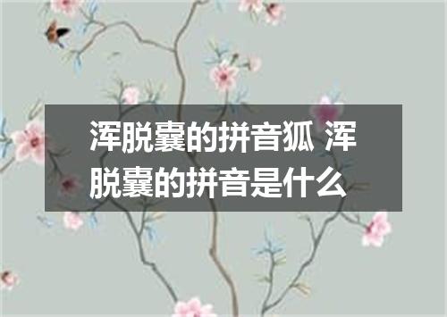 浑脱囊的拼音狐 浑脱囊的拼音是什么