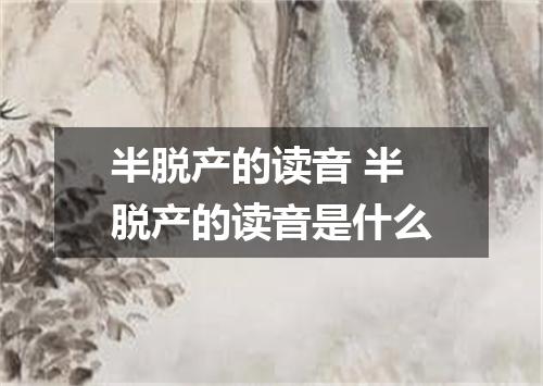 半脱产的读音 半脱产的读音是什么