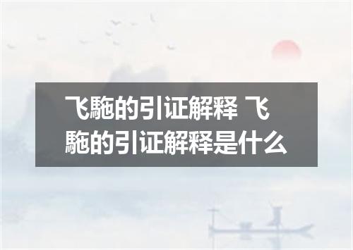 飞駞的引证解释 飞駞的引证解释是什么