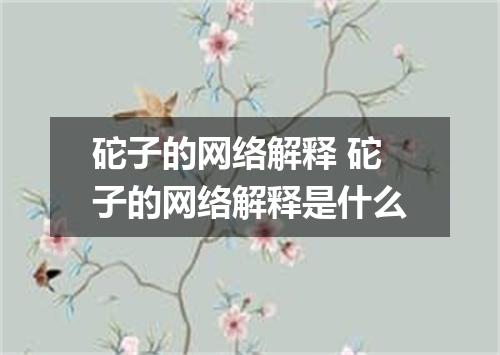 砣子的网络解释 砣子的网络解释是什么