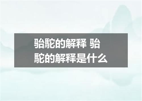 骀駝的解释 骀駝的解释是什么