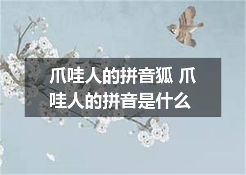 爪哇人的拼音狐 爪哇人的拼音是什么