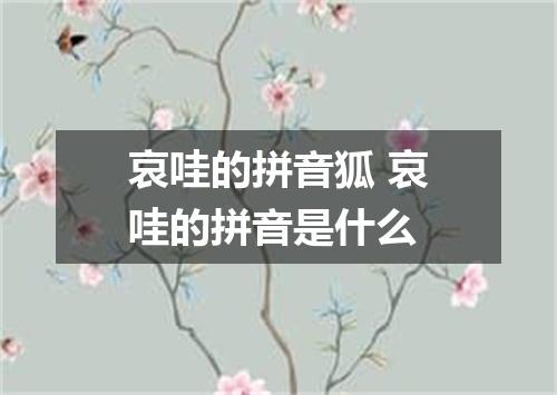 哀哇的拼音狐 哀哇的拼音是什么