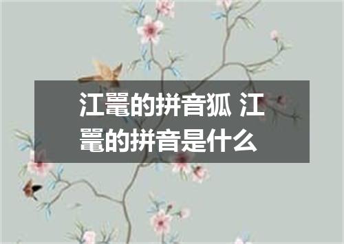 江鼍的拼音狐 江鼍的拼音是什么