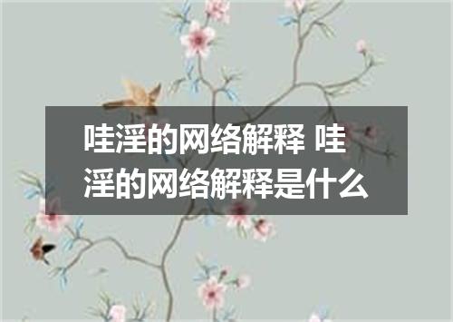 哇淫的网络解释 哇淫的网络解释是什么