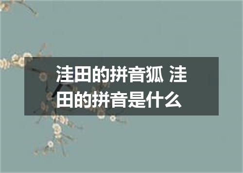洼田的拼音狐 洼田的拼音是什么