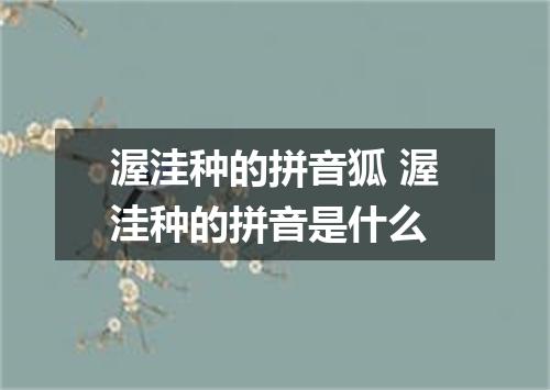 渥洼种的拼音狐 渥洼种的拼音是什么