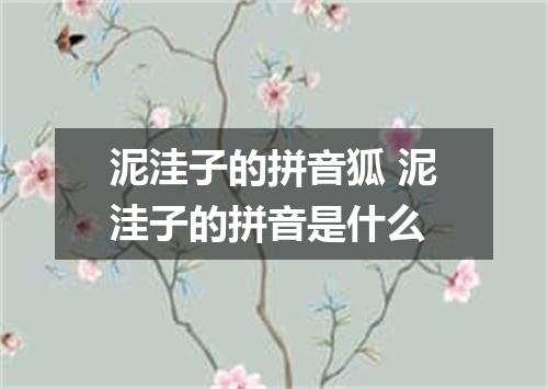泥洼子的拼音狐 泥洼子的拼音是什么