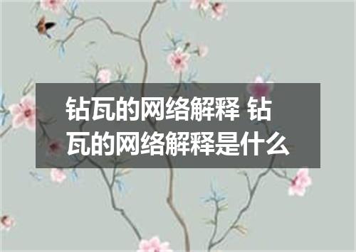 钻瓦的网络解释 钻瓦的网络解释是什么