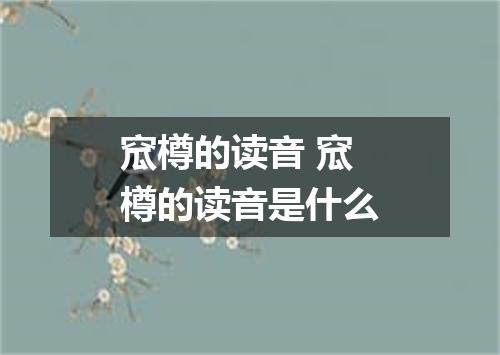 窊樽的读音 窊樽的读音是什么