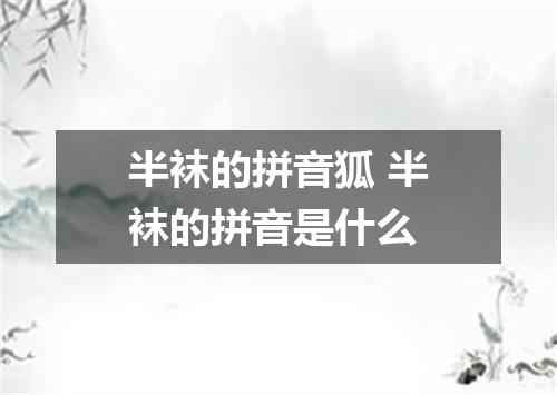 半袜的拼音狐 半袜的拼音是什么