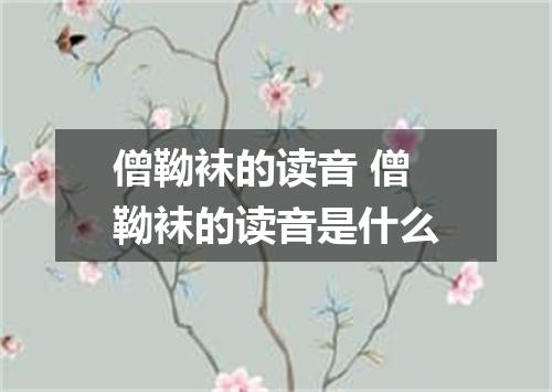 僧靿袜的读音 僧靿袜的读音是什么