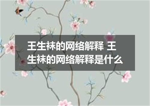 王生袜的网络解释 王生袜的网络解释是什么