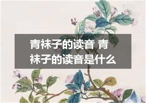 青袜子的读音 青袜子的读音是什么