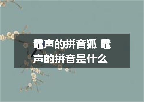 鼃声的拼音狐 鼃声的拼音是什么