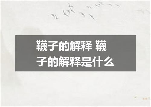 韈子的解释 韈子的解释是什么