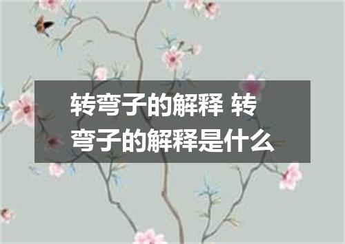 转弯子的解释 转弯子的解释是什么