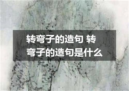 转弯子的造句 转弯子的造句是什么