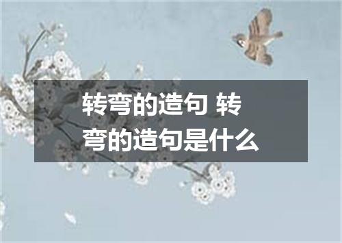 转弯的造句 转弯的造句是什么