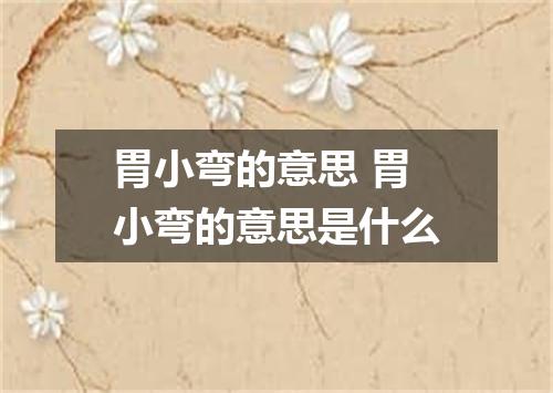 胃小弯的意思 胃小弯的意思是什么