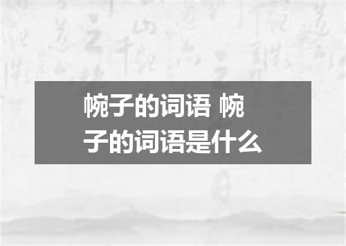 帵子的词语 帵子的词语是什么