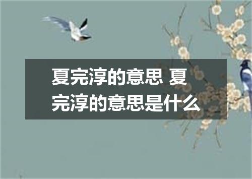 夏完淳的意思 夏完淳的意思是什么