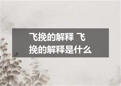 飞挽的解释 飞挽的解释是什么