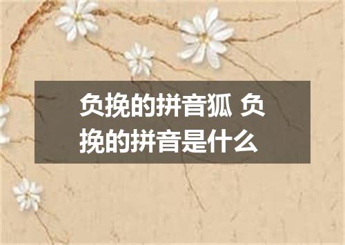 负挽的拼音狐 负挽的拼音是什么