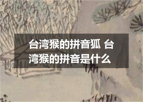 台湾猴的拼音狐 台湾猴的拼音是什么