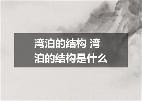 湾泊的结构 湾泊的结构是什么