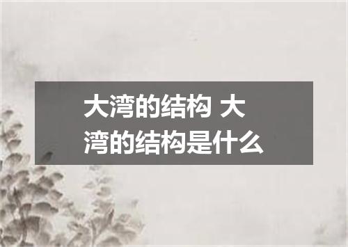 大湾的结构 大湾的结构是什么