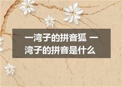 一湾子的拼音狐 一湾子的拼音是什么