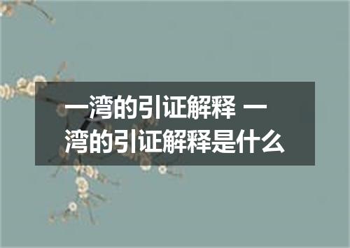 一湾的引证解释 一湾的引证解释是什么