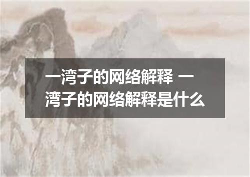 一湾子的网络解释 一湾子的网络解释是什么