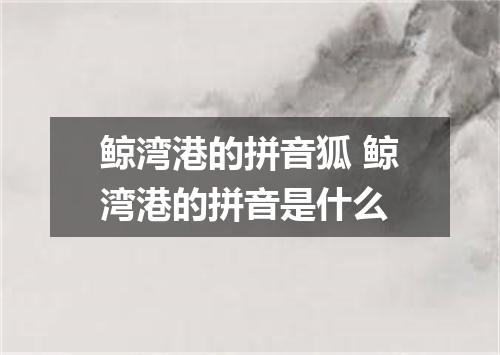 鲸湾港的拼音狐 鲸湾港的拼音是什么