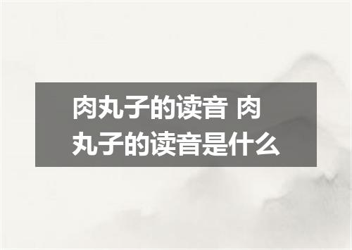 肉丸子的读音 肉丸子的读音是什么