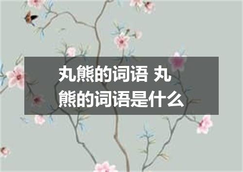 丸熊的词语 丸熊的词语是什么