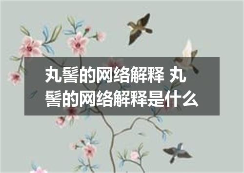 丸髻的网络解释 丸髻的网络解释是什么