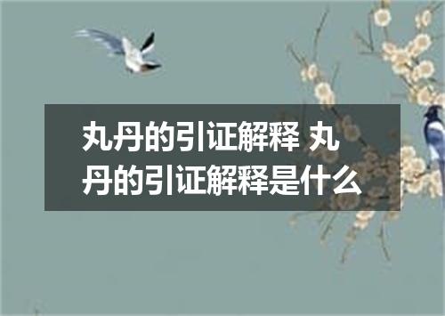 丸丹的引证解释 丸丹的引证解释是什么