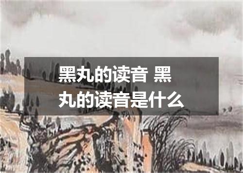 黑丸的读音 黑丸的读音是什么